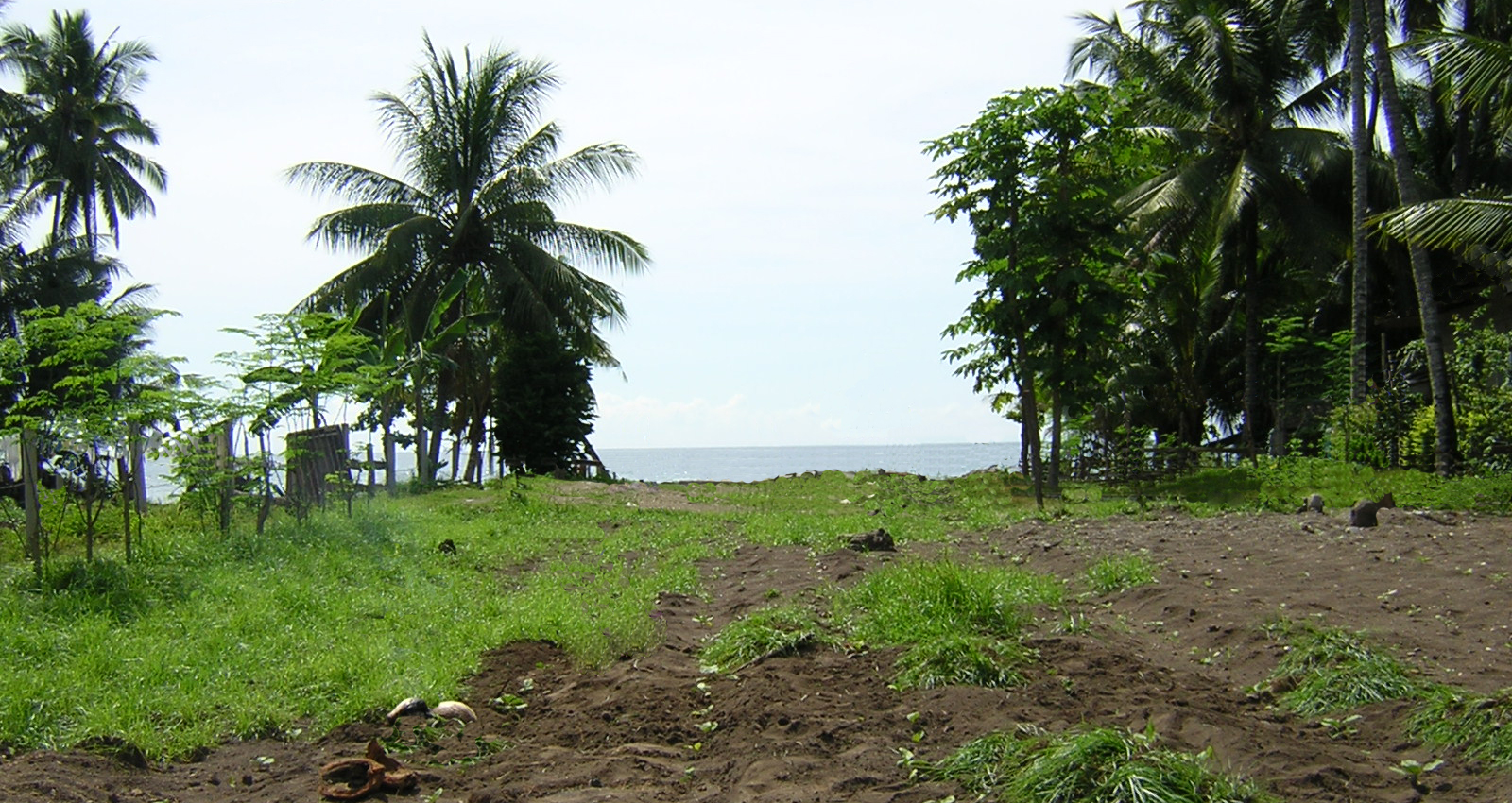 Click for full size image