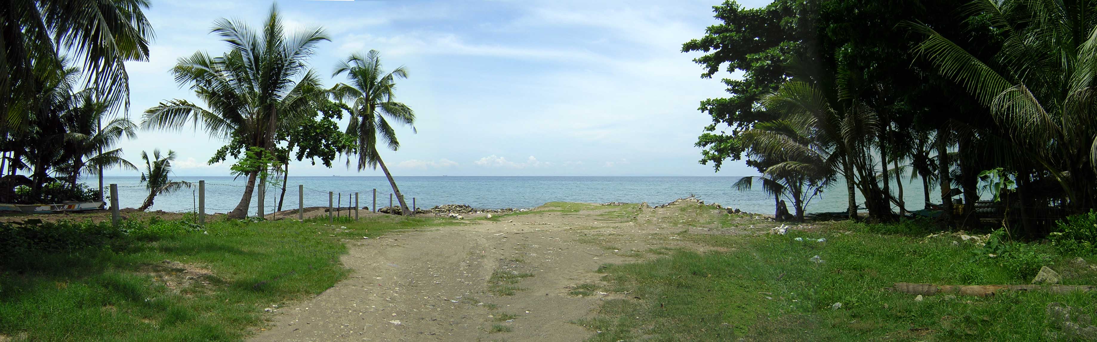 Click for reduced size image